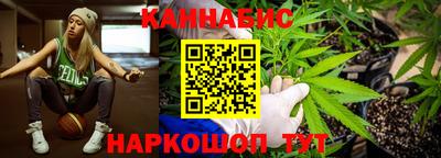 сатива Краснознаменск