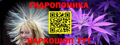 индика Краснокаменск