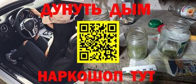 сатива Краснознаменск
