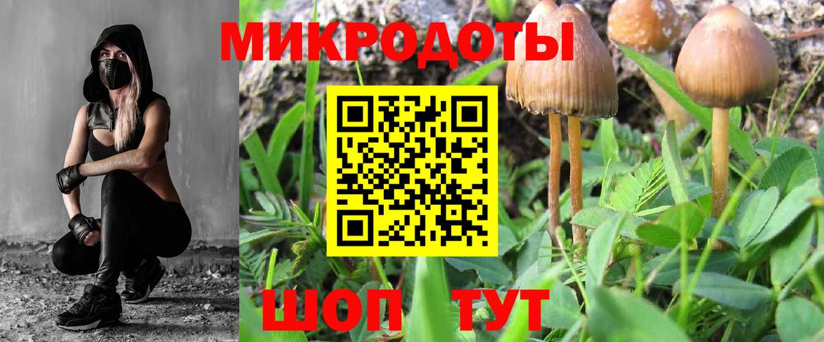 Жуковский  Псилоцибиновые грибы Psilocybine cubensis  Вход с VPN 