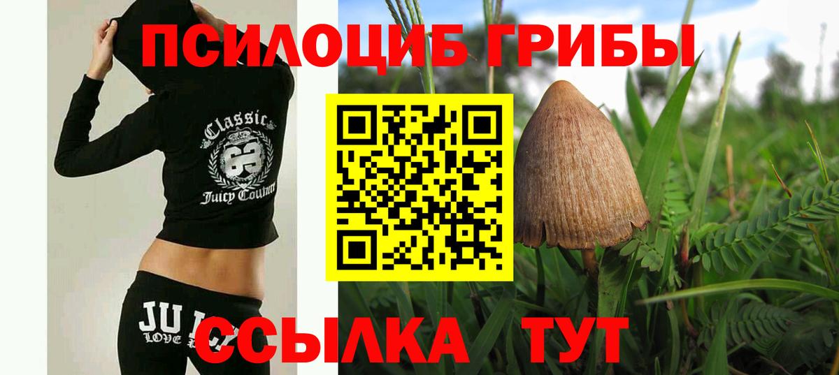 Галлюциногенные грибы ЛСД Жуковский