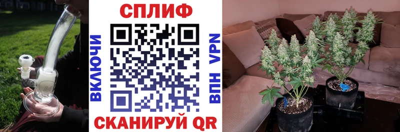Канабис Amnesia  mega онион  Жуковский 