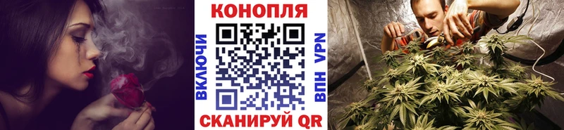 Бошки Шишки планчик Жуковский